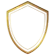 icon protect
