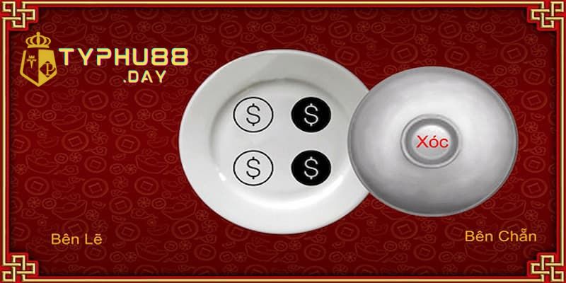 Cách Tính Xác Suất Chẵn Lẻ Trong Xóc Đĩa Typhu88 "Ăn Chắc" 2 Bật mí cách tính xác suất chẵn lẻ trong xóc đĩa mang lại hiệu quả cao nhất