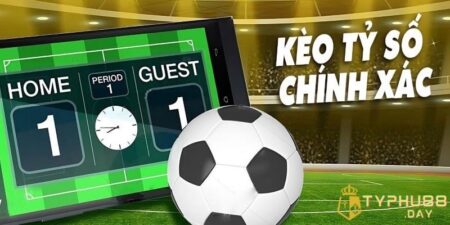 keo ty so chinh xac anh dai dien