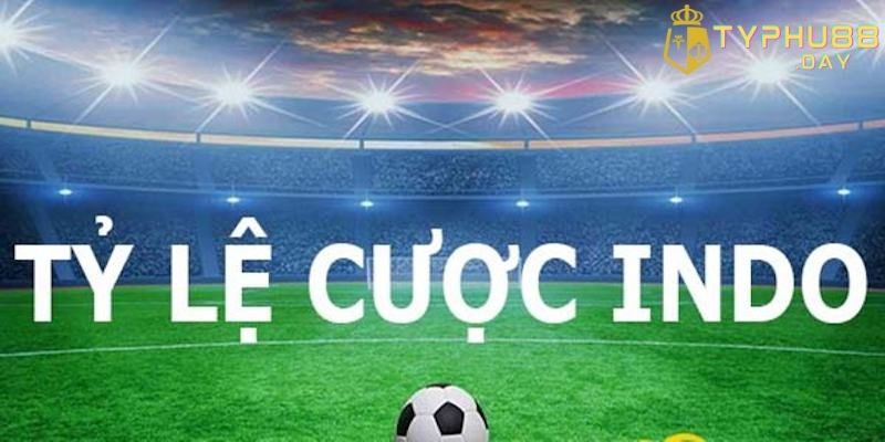 Đặc điểm nhận diện tỷ lệ kèo Indonesia là gì