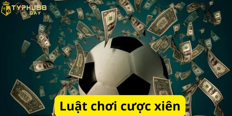 Cược Xiên Là Gì? Kinh Nghiệm Cá Độ Cực Hiệu Quả Từ Cao Thủ 2 Chi tiết luật chơi