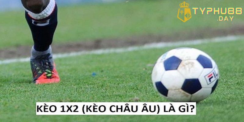 Kèo Ft Châu Âu 1x2 Là Gì? Cách Đọc Và Bí Kíp Chơi Kèo 3 Kèo FT châu Âu 1x2 là gì từ các cao thủ cá cược của Typhu88
