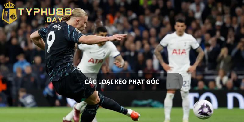 Khám Phá Kèo Phạt Góc Là Gì Và Chi Tiết Kinh Nghiệm Soi Kèo 2 Các loại kèo phạt góc là gì?