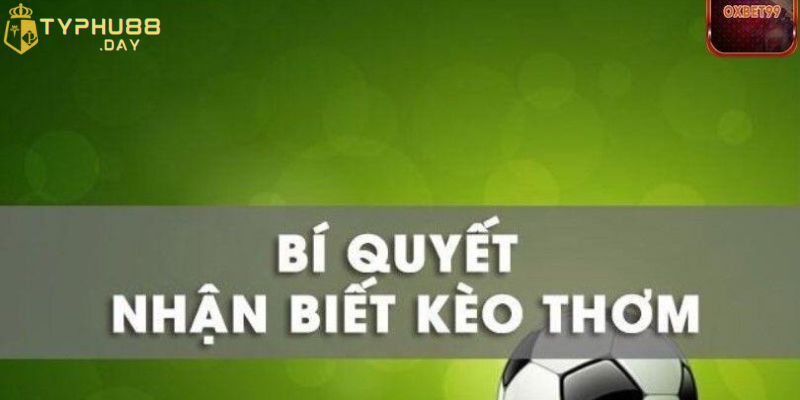 Kèo Thơm Là Gì? Cách Nhận Biết Loại Cược Này Khi Chơi Cá Độ 2 Cách nhận biết đơn giản cho tân thủ