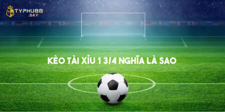 tai xiu 1 3 4 nghia la sao